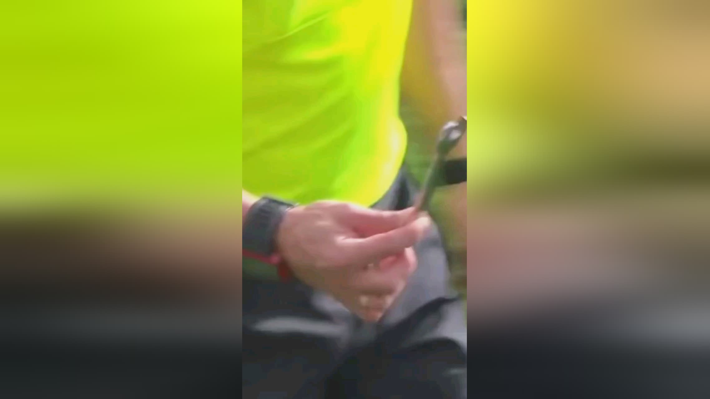 与公众期