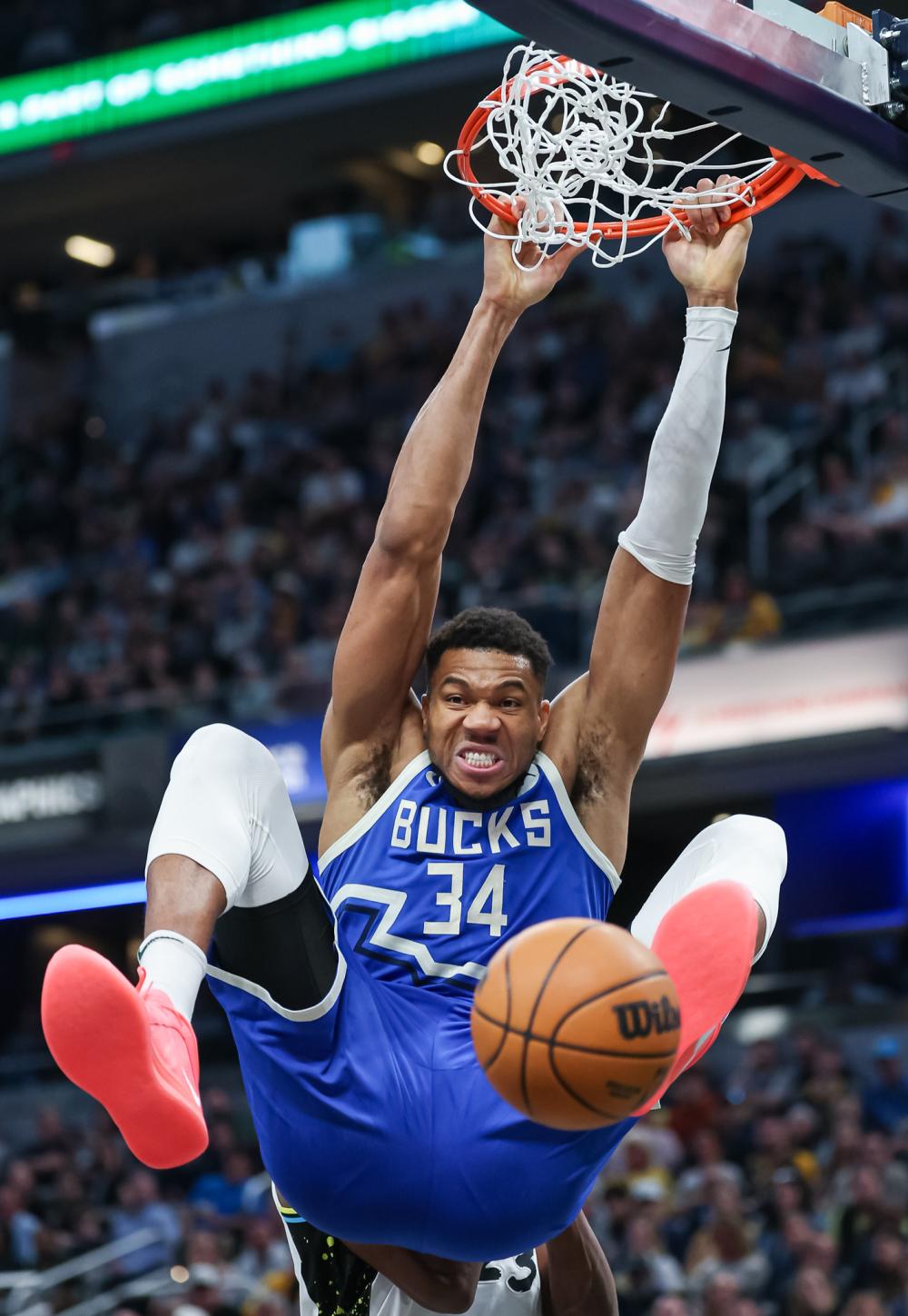 信和勇气唤 信和勇气唤