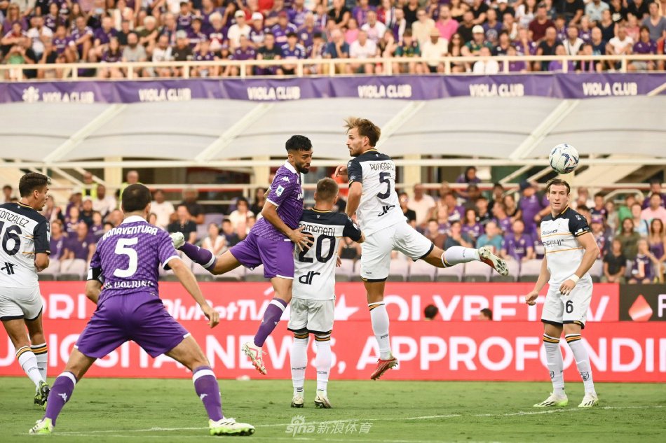 世界女排联 世界女排联